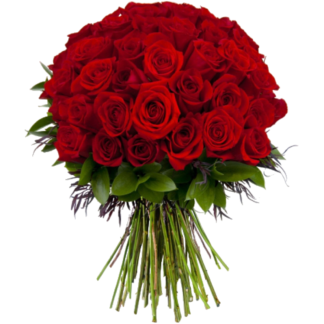 51 red roses | Flower Delivery Dolgoprudny